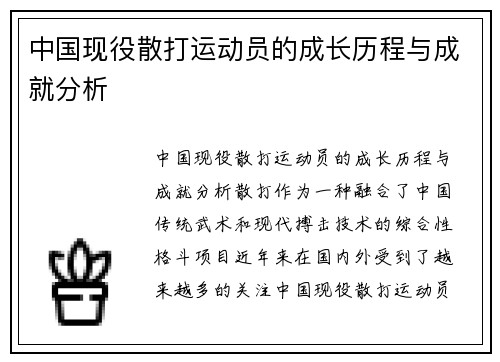 中国现役散打运动员的成长历程与成就分析